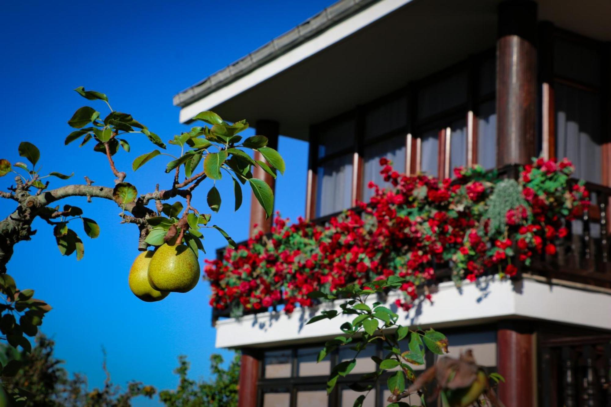 Cosma House Otel Hinojedo Dış mekan fotoğraf